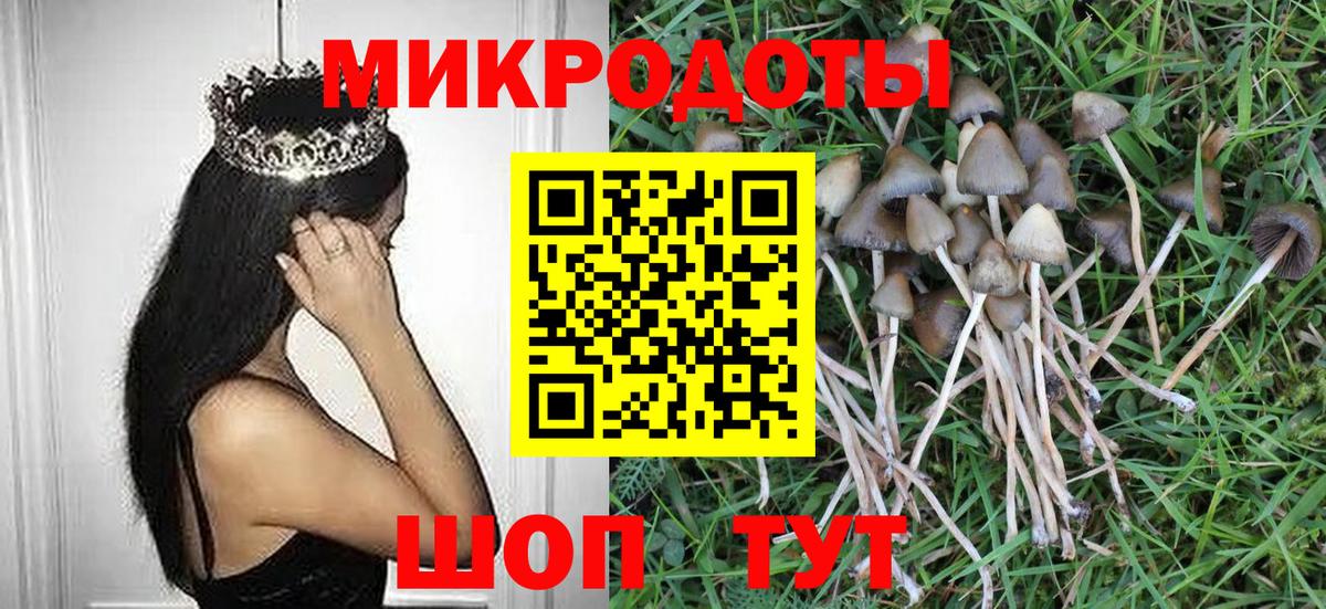 Псилоцибиновые грибы Magic Shrooms Зерноград