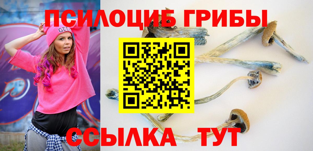 Галлюциногенные грибы ЛСД  Галлюциногенные грибы Psilocybe  Зерноград  как найти наркотики  Вход с VPN 
